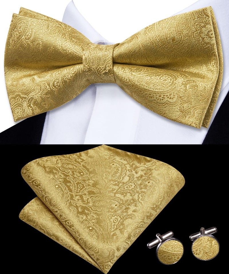 Dubulle Mens Gold Paisley Striped Bowtie Set Pre-tied Bowtie for Men and Pocket Square Set Wedding Business - Image 2